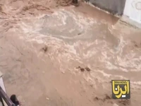 بارش ۵۲ میلیمتری باران در آبدانان خسارت به بار آورد