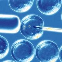 بازار سلولدرمانی کشور در اختیار شرکتهای دارای مجوز