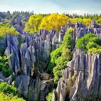 جنگل سنگی سوبویا در چین