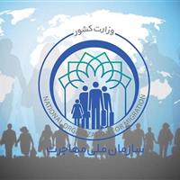 جزئیات جدید از لایحه سازمان ملی مهاجرت