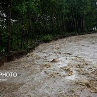 خسارت سیلاب به خانوارهای عشایری ایلام در پی بارندگیهای اخیر