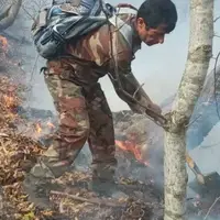 آتش در عرصههای جنگلی شرق گلستان مهار شد