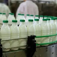 افزایش ۶۰ درصدی قیمت شیر خام طی ۵ ماه