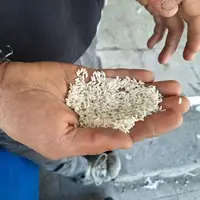 افزایش چشمگیر بهای برنج در بوشهر؛ نظارت بر بازار تقویت شود