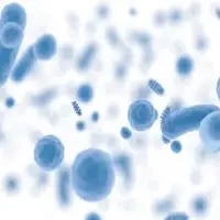 شعار و روزشمار هفته جهانی آگاهی از مقاومت میکروبی سال ۱۴۰۴ اعلام شد