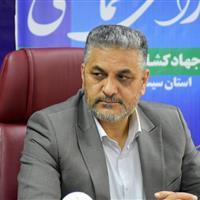 اقدام جدی علیه قاچاق دام، روغن و کالاهای اساسی در سیستان و بلوچستان