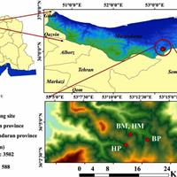 راشها در جنگلهای آمیخته پربازدهتر میشوند