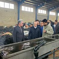بازدید معاون استاندار اردبیل از طرحهای اقتصادی ناحیه صنعتی رضی / تأمین ۴۰۰ میلیارد تومان تسهیلات برای اتمام طرحها