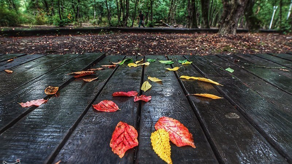 بارش مؤثر اما ناکافی در کرمانشاه؛ اهمیت مصرف درست آب پررنگتر شد