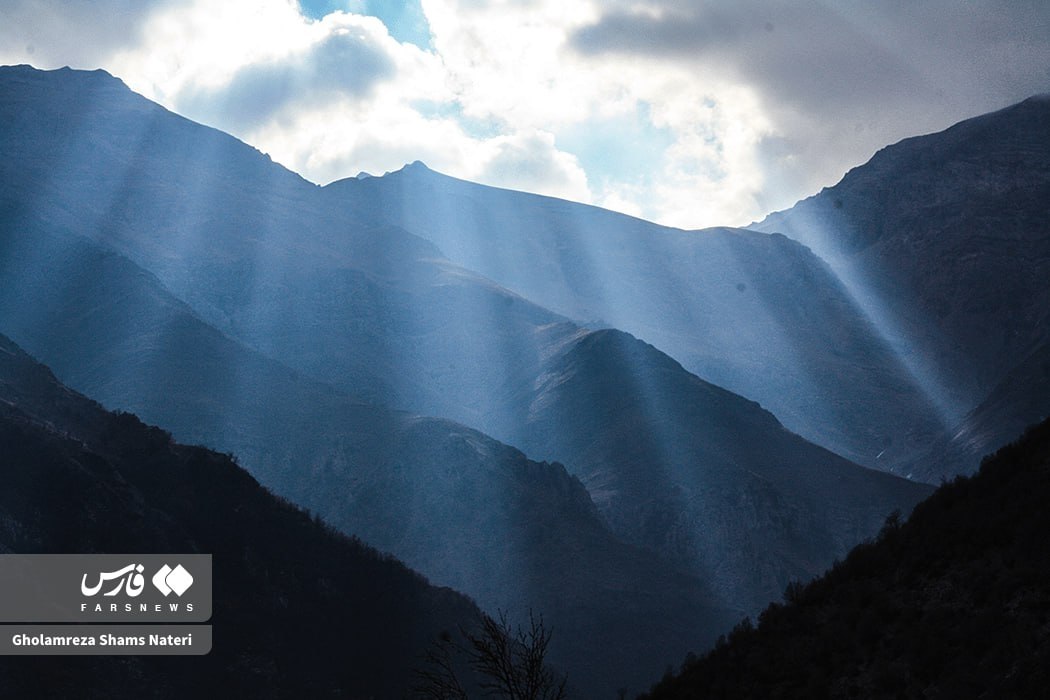 عکس/ آتشسوزی جنگلهای روستای الیت چالوس