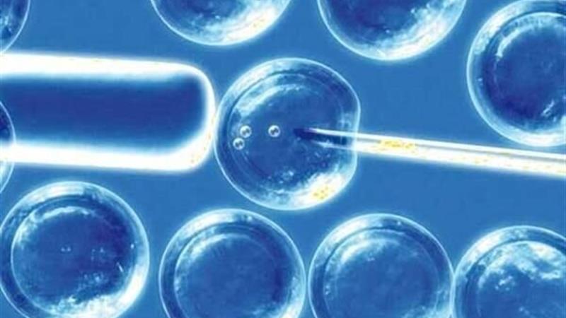 بازار سلولدرمانی کشور در اختیار شرکتهای دارای مجوز