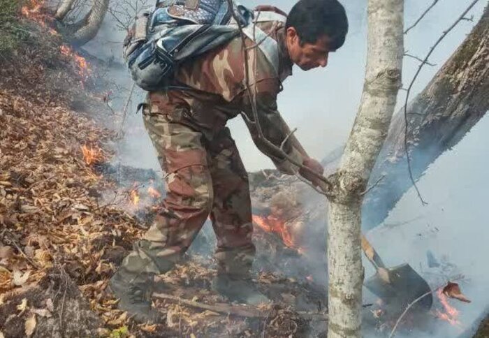 آتش در عرصههای جنگلی شرق گلستان مهار شد