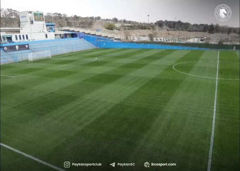 چمن مخملی زیر پای بازیکنان پیکان