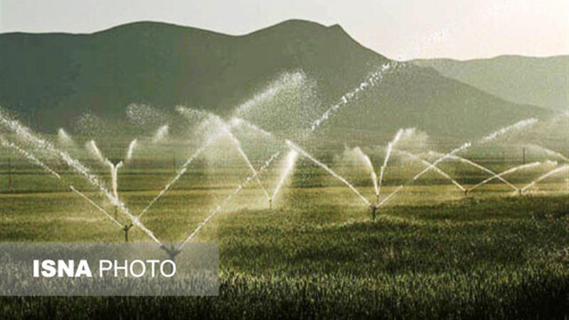 تمرکز جهاد کشاورزی زنجان بر آبیاری نوین و ترویج محصولات جایگزین