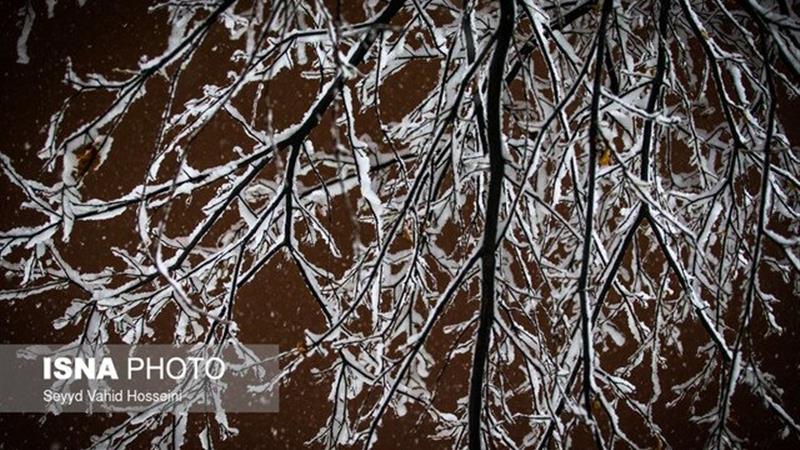 هشدار زرد هواشناسی درباره یخبندان در البرز