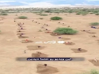 مردی که بیابان‌های فارس را سبز کرد