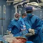 اهدای اعضای بدن بانوی افغانستانی به ۷ بیمار در صف پیوند