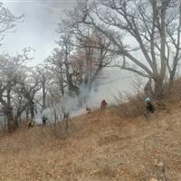 یک دستور ویژه برای اطفای حریق در چالوس