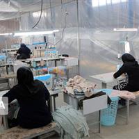 ایجاد ۲۷۵۰ فرصت شغلی برای مددجویان ایلام تا پایان سال