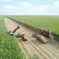 برداشت نیشکر از ابتدای فصل، ۱۰۰ درصد سبز انجام شده است/ امسال ناوگان برداشت نیشکر با ۹ هاروستر جدید تقویت شد