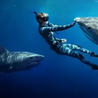 لحظه بلعیده شدن دوربین غواص توسط یک کوسه