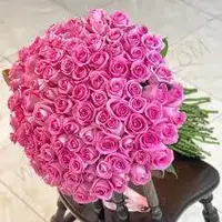 پرورش گل و گیاه آپارتمانی