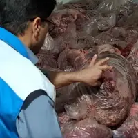 کشف و توقیف یکهزارو ۵۰۰ کیلوگرم گوشت مخلوط اسب و گاو 