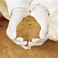 تولید بیش از ۸۰۰ هزار کیلوگرم پودر ماهی در شهرستان دشتیاری