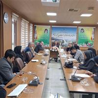 ۲۶ درصد تعهد اشتغالزایی در کردستان محقق شد