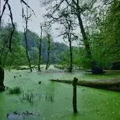 مرداب دریوک یکی از مناطق اسرارآمیز ایران