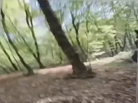 بازداشت قاچاقچی چوب که با «داس و تبر» به جان جنگلبانان افتاد