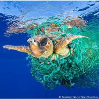 مقادیر کم آلودگی پلاستیکیِ اقیانوسها، حیات دریایی را نابود میکند