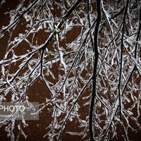 هشدار زرد هواشناسی درباره یخبندان در البرز