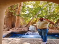 نه باغ جهانی ایران