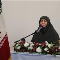 معاون رییسجمهور: صنایع و واحدهای سبز خدمات تشویقی میگیرند