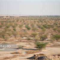 مدیرکل حفاظت محیط زیست استان زنجان: توسعه پایدار بدون رعایت الزامات زیست‌محیطی ممکن نیست