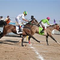 کورس اسبدوانی پاییزه کشور در یزد به خط پایان رسید