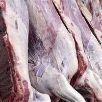 کشف ۱۵۰۰ کیلوگرم گوشت اسب از یک واحد بستهبندی در اهواز!