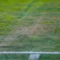 واقعیت تلخ در مورد چمن جنجالی یادگار!