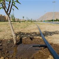 اجرای سیستمهای نوین و آبیاری قطرهای در ۴۰ هکتار فضای سبز اراک