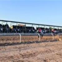 درخشش چابک‌سواران ۱۵ استان در پایان رقابت‌های اسب‌دوانی یزد