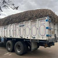 هفت تن گیاه شیرین‌ بیان در اردبیل توقیف شد