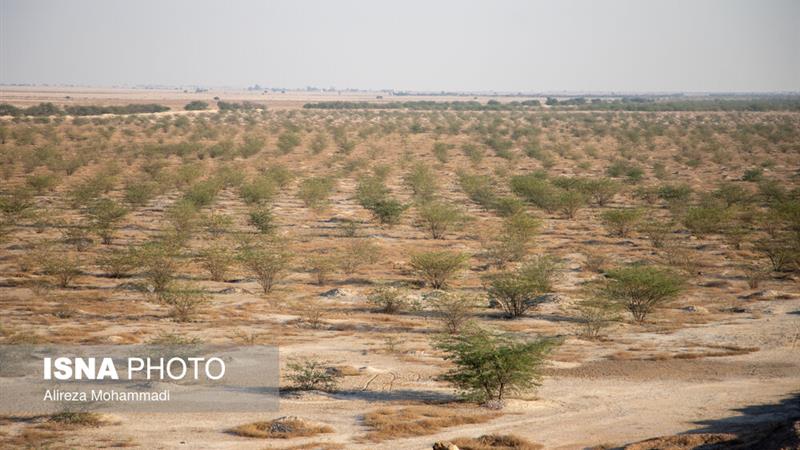 مدیرکل حفاظت محیط زیست استان زنجان: توسعه پایدار بدون رعایت الزامات زیستمحیطی ممکن نیست