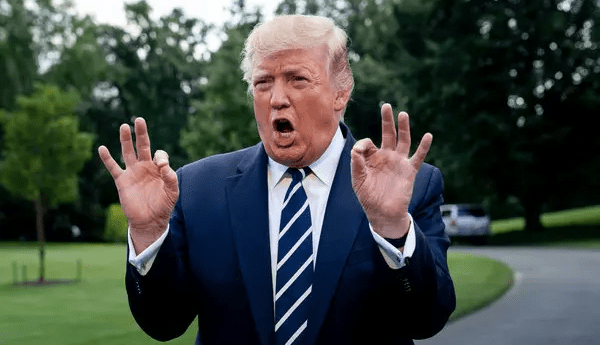 ذوقزدگی ترامپ از تصویب قطعنامه غزه در شورای امنیت