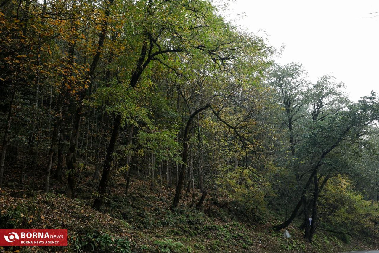 طبیعت زیبای رامسر