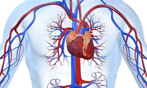  سه موردی که باعث مشکلات قلبی در خانم‌ها می‌شود