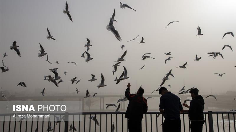 هوا در مناطق مختلف کشور آلوده میشود