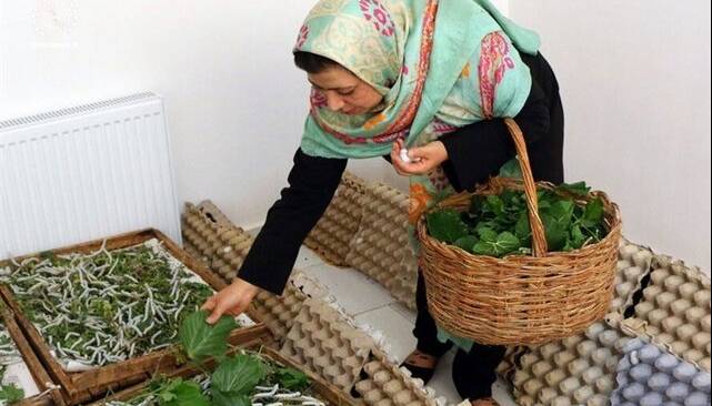 مهم‌ترین مشکل صاحبان مشاغل خانگی چیست؟