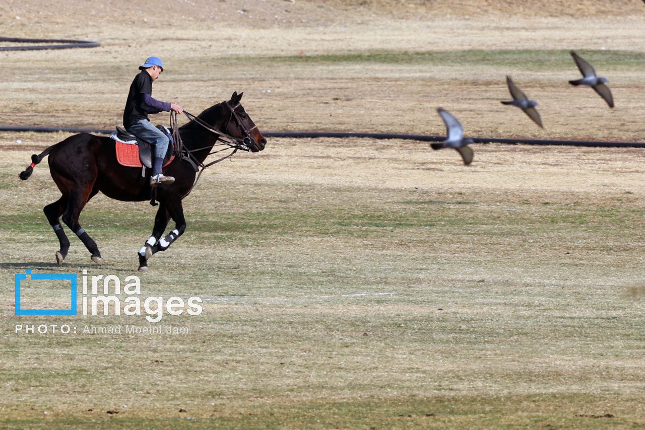  ​​​​​​​لیگ ملی چوگان زنان «جام نرگس»