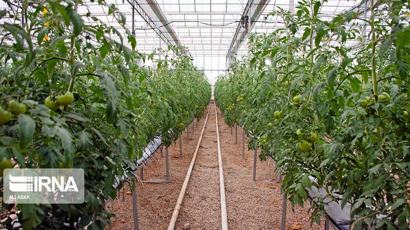 ایجاد خوشه‌های پیشران اقتصادی در هشت شهرستان سمنان